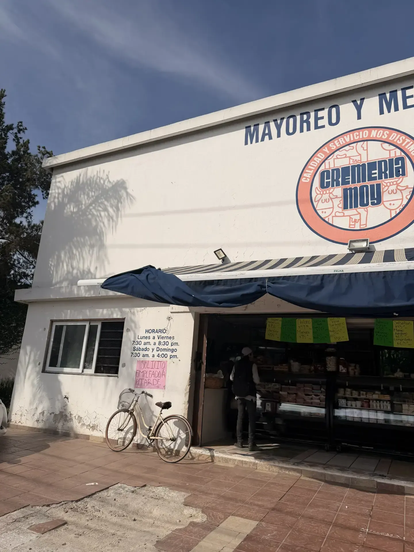 Servicio de demolicion de casa con personal y maquinaria especializada, enfocado en seguridad, retiro de escombro y avance de obra en Guadalajara, Jalisco.